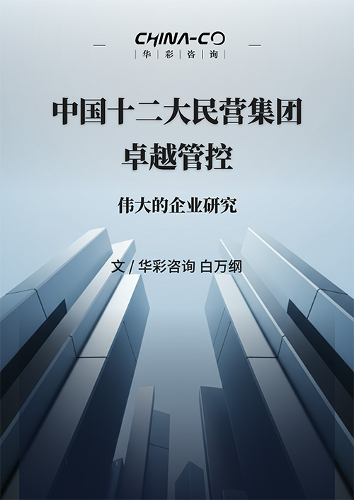 中国十二大民营集团卓越管控.jpg 中国十二大民营集团卓越管控.jpg